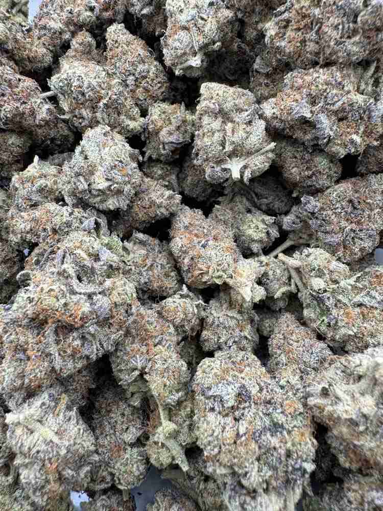 Peanut Butter Breath (DoSiDos x Mendo Breath F2) CE (JKole) Stash Box