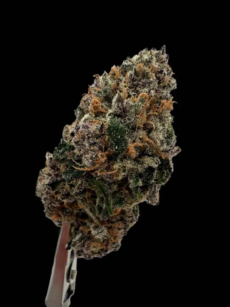 Fantaz #3 (’09 animal cookies x grape fanta) – Mega meisho