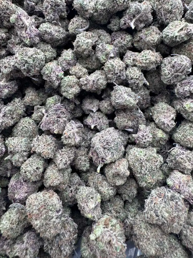 churro drop smalls (Purple churro x gas drop) – Bbcf