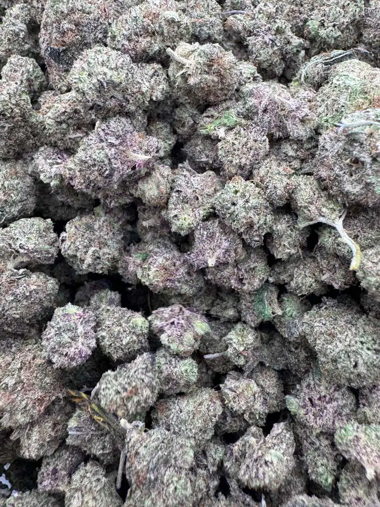 Purple alien smalls (Alien kush x tahoe OG) – Bbcf