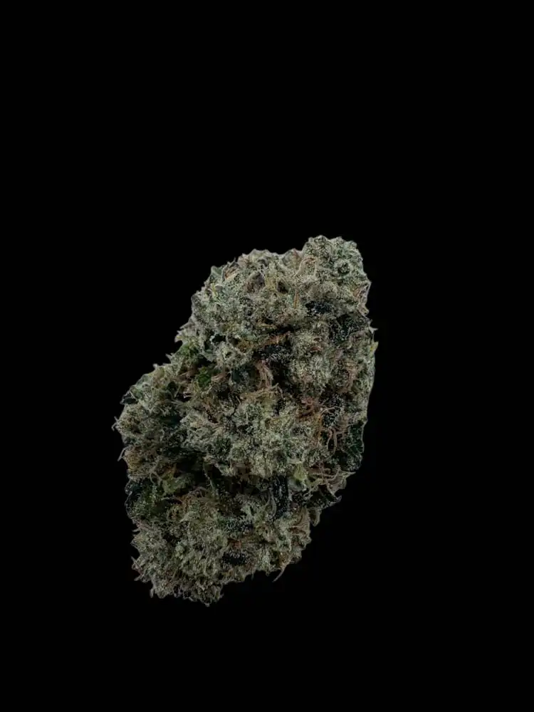 Banana breeze (Banana tree x zlushiez) – Private acmpr’s craft room