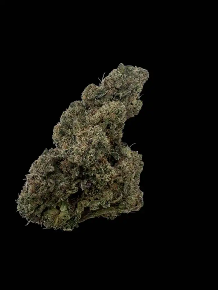 Gas mintz (Sour diesel x gush mints) – Private acmpr’s craft room