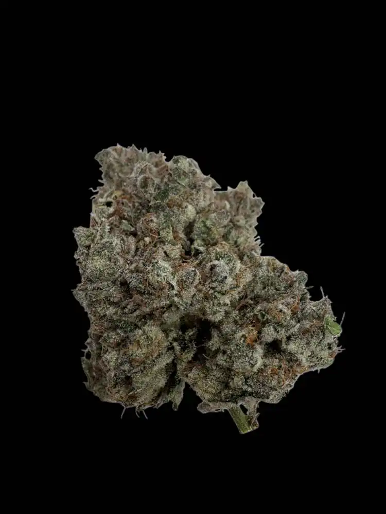 Kush sorbet (Sunset sherbet x triangle kush) – Private acmpr’s craft room