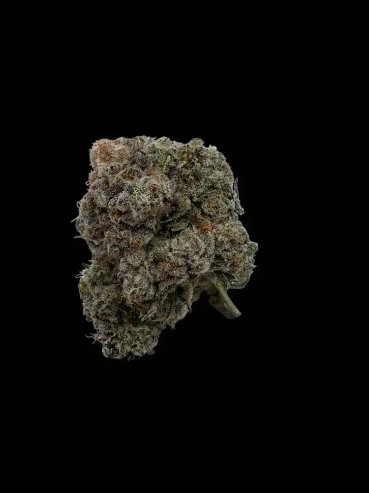Smooth Fuel (Blueberry x somango) – Private acmpr’s craft room