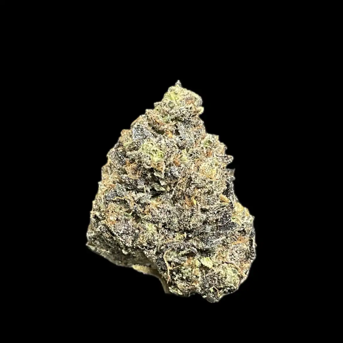 Old School Gucci Pink – Gorilla Goon