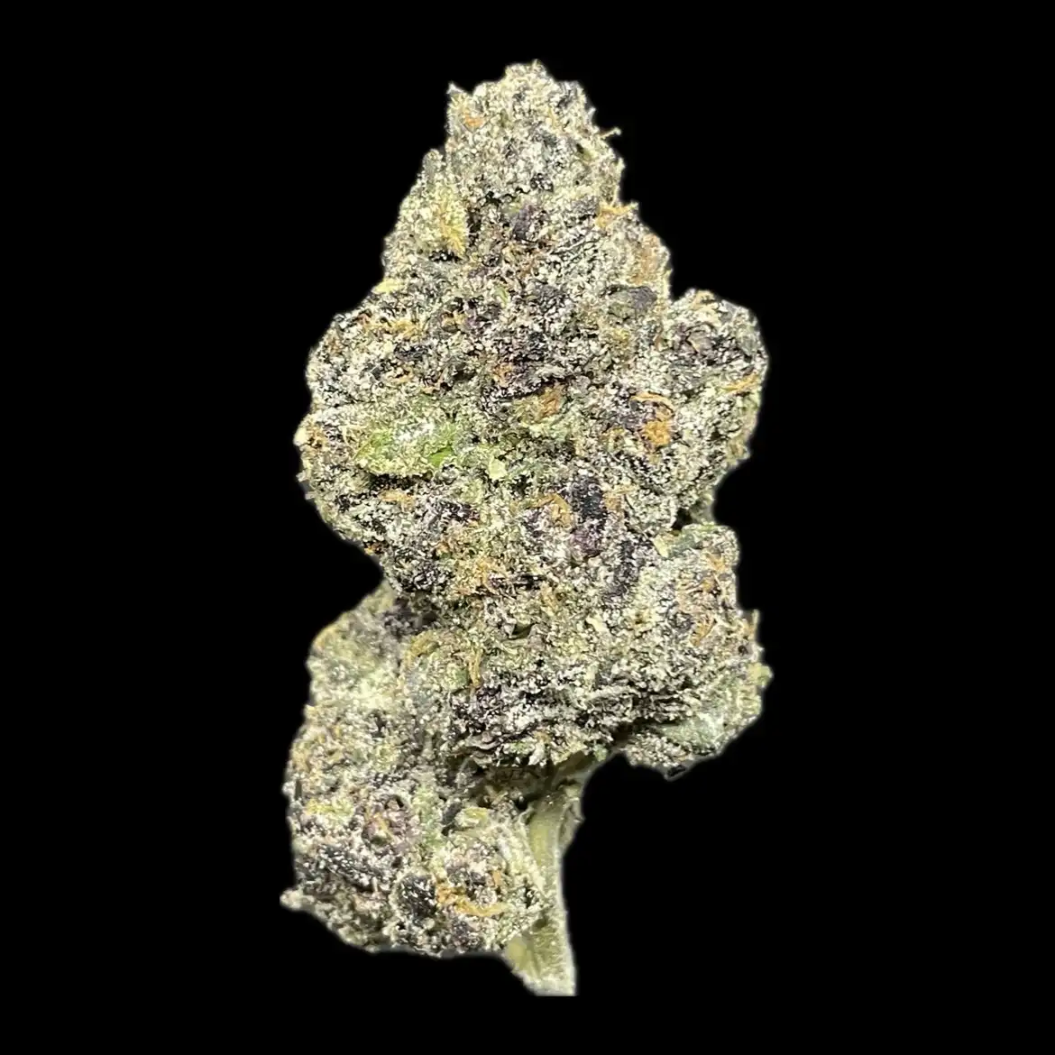MOB (Lemon cherry gelato x skittles x granddaddy purps) – Gorilla Goon