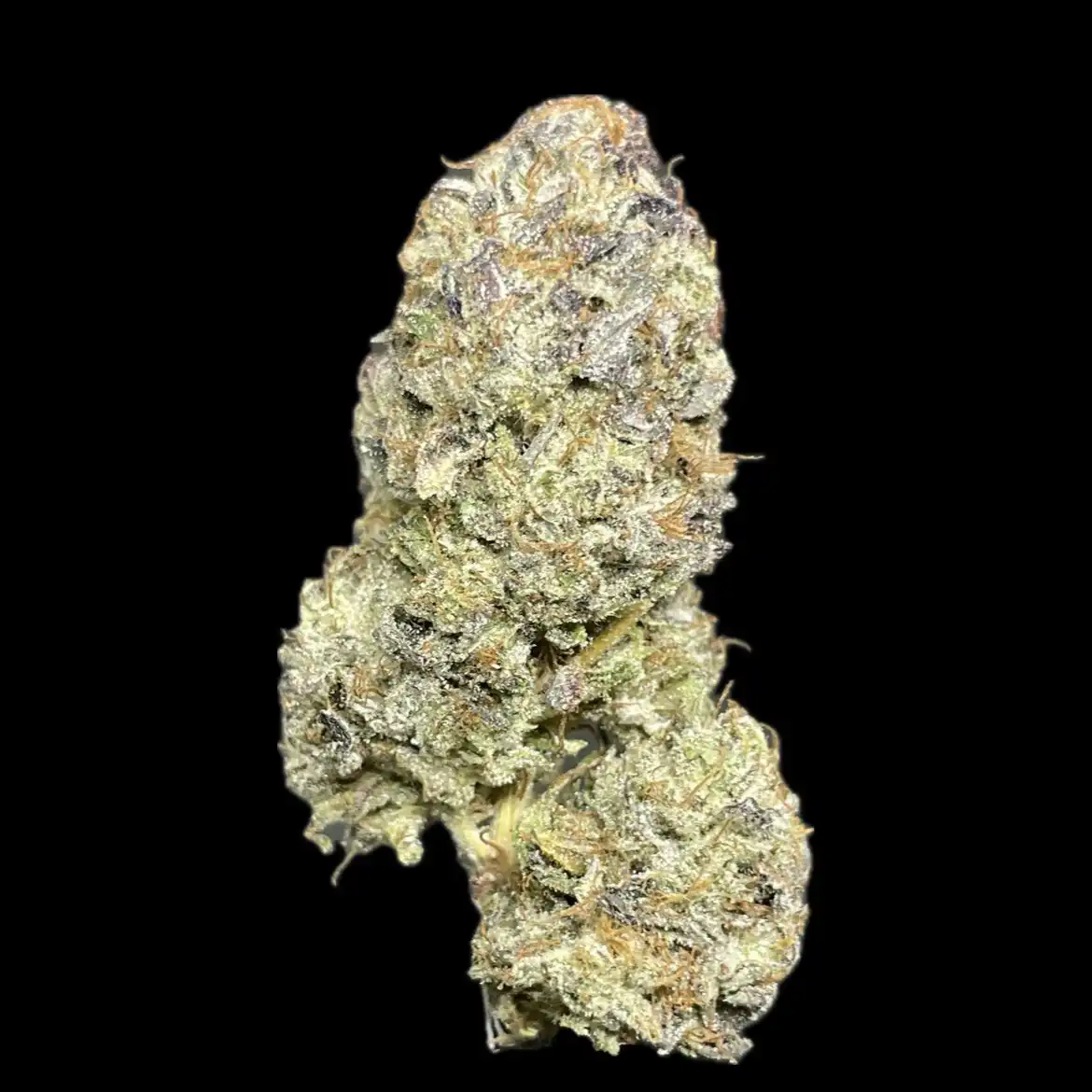 Albanian Death Bubba – Gorilla Goon