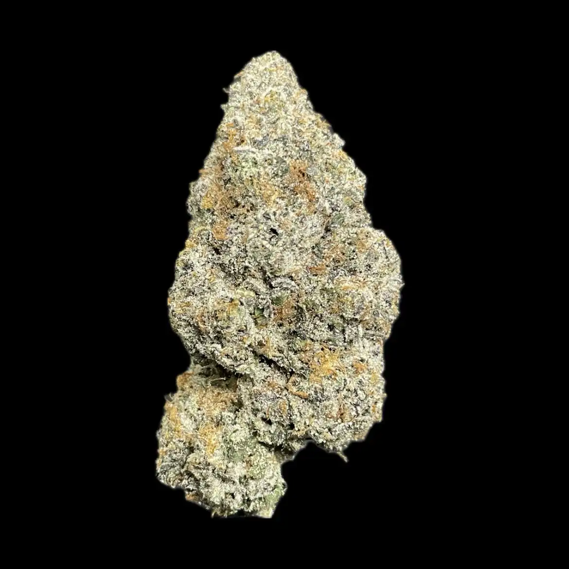Garlic Sherb (Garlic Cookies x Blue Sherbert) – Kraft Kronik