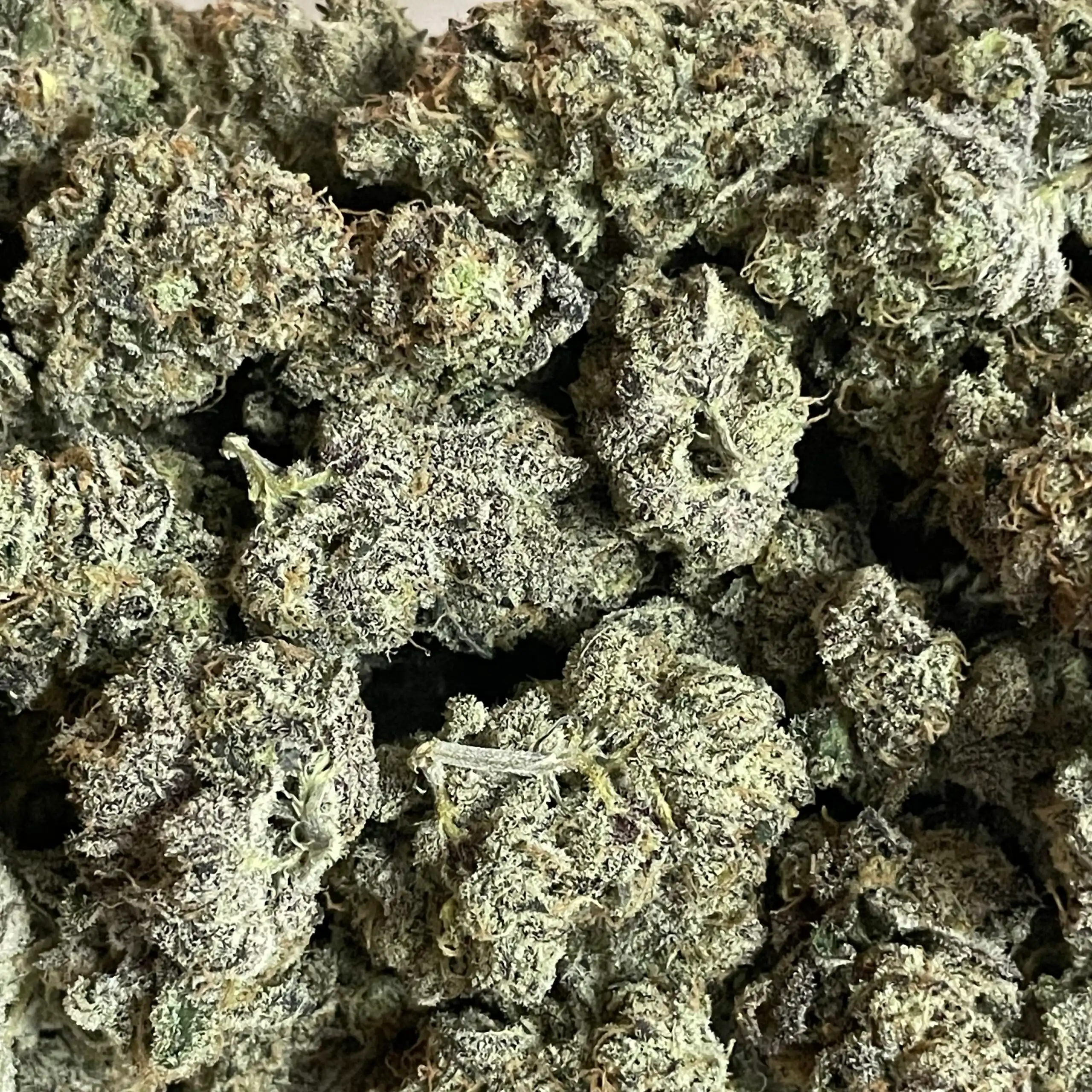 Blueberry – Paid by Pounds