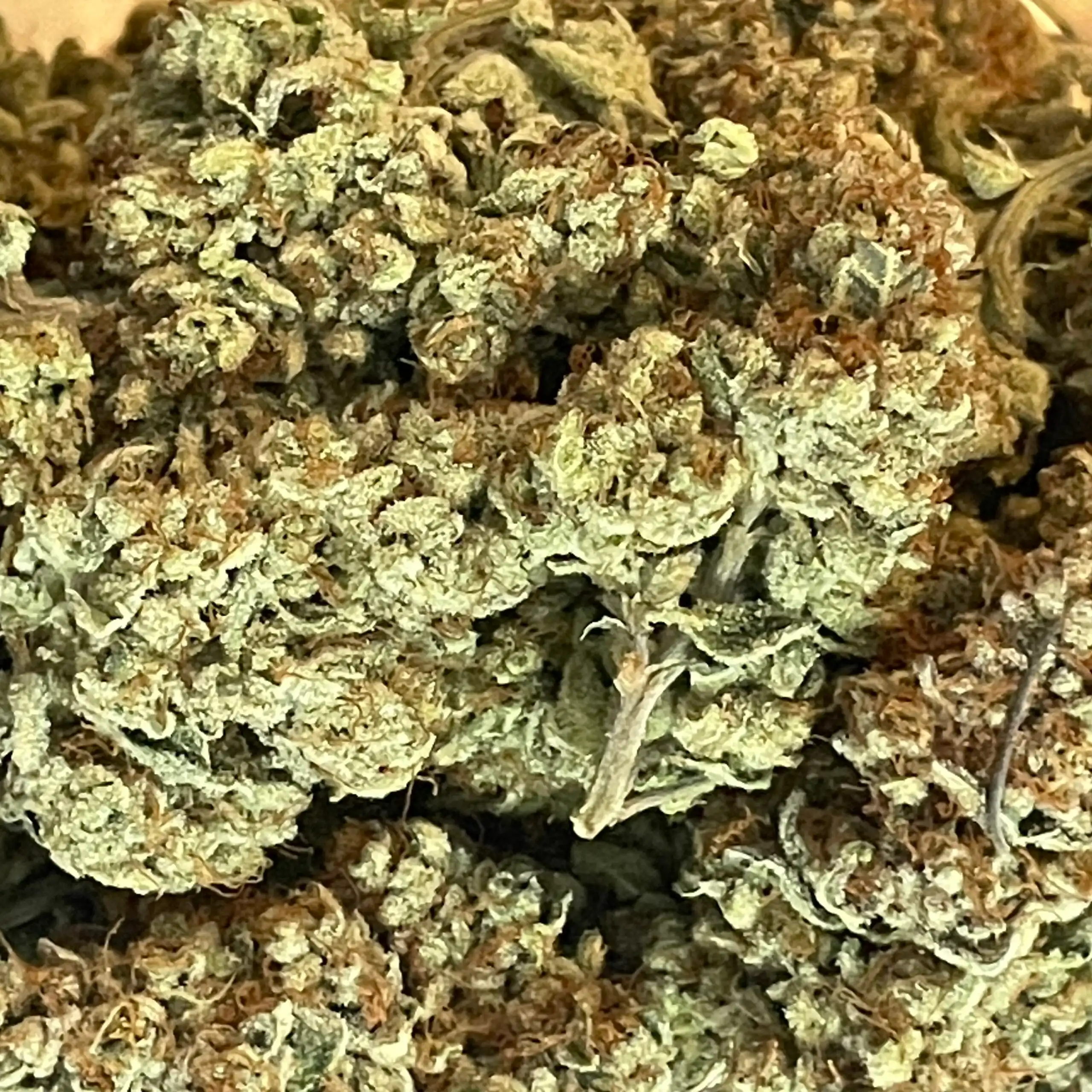 Yellow Candy – Paid by Pounds