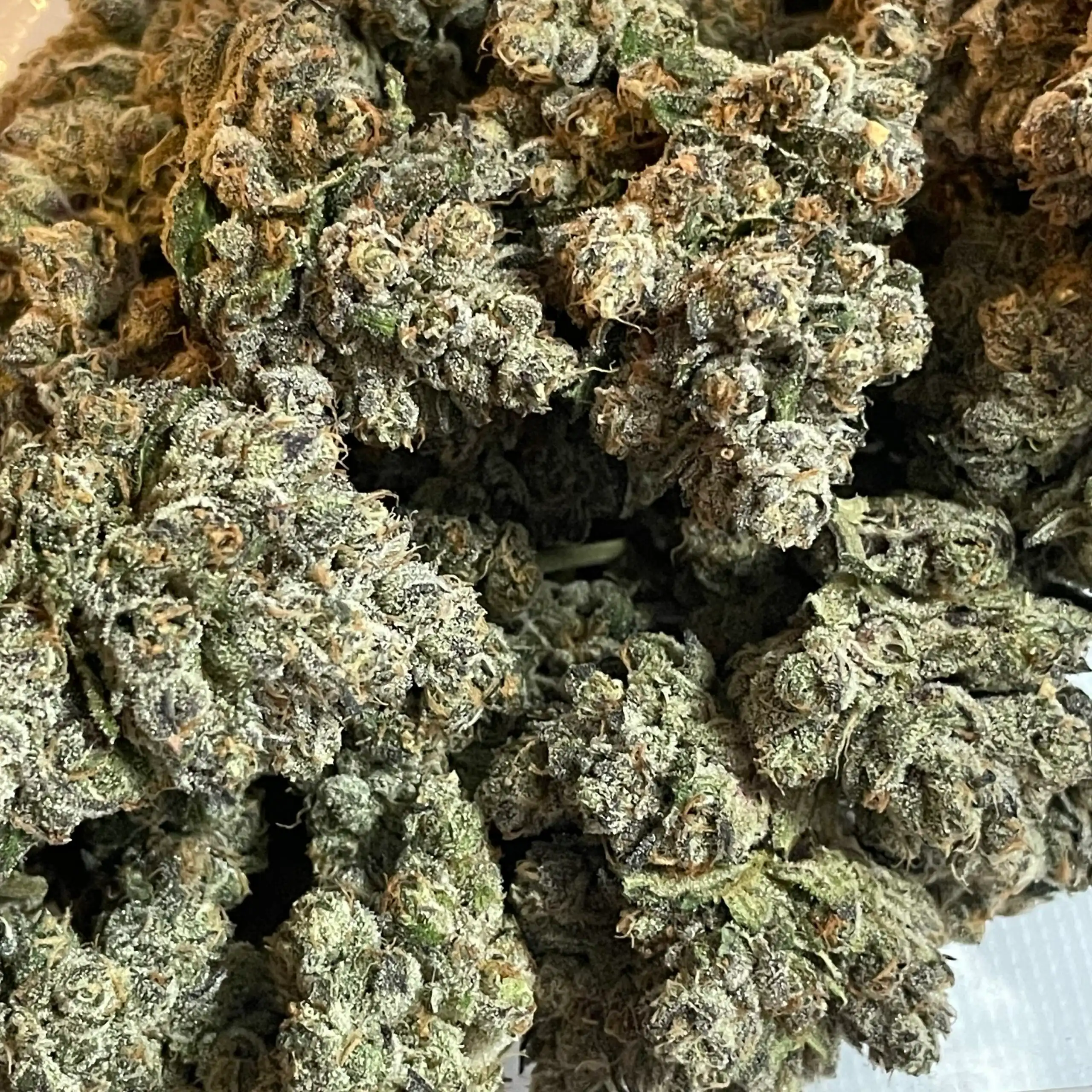 Skywalker x Kush Mints – Paid by Pounds