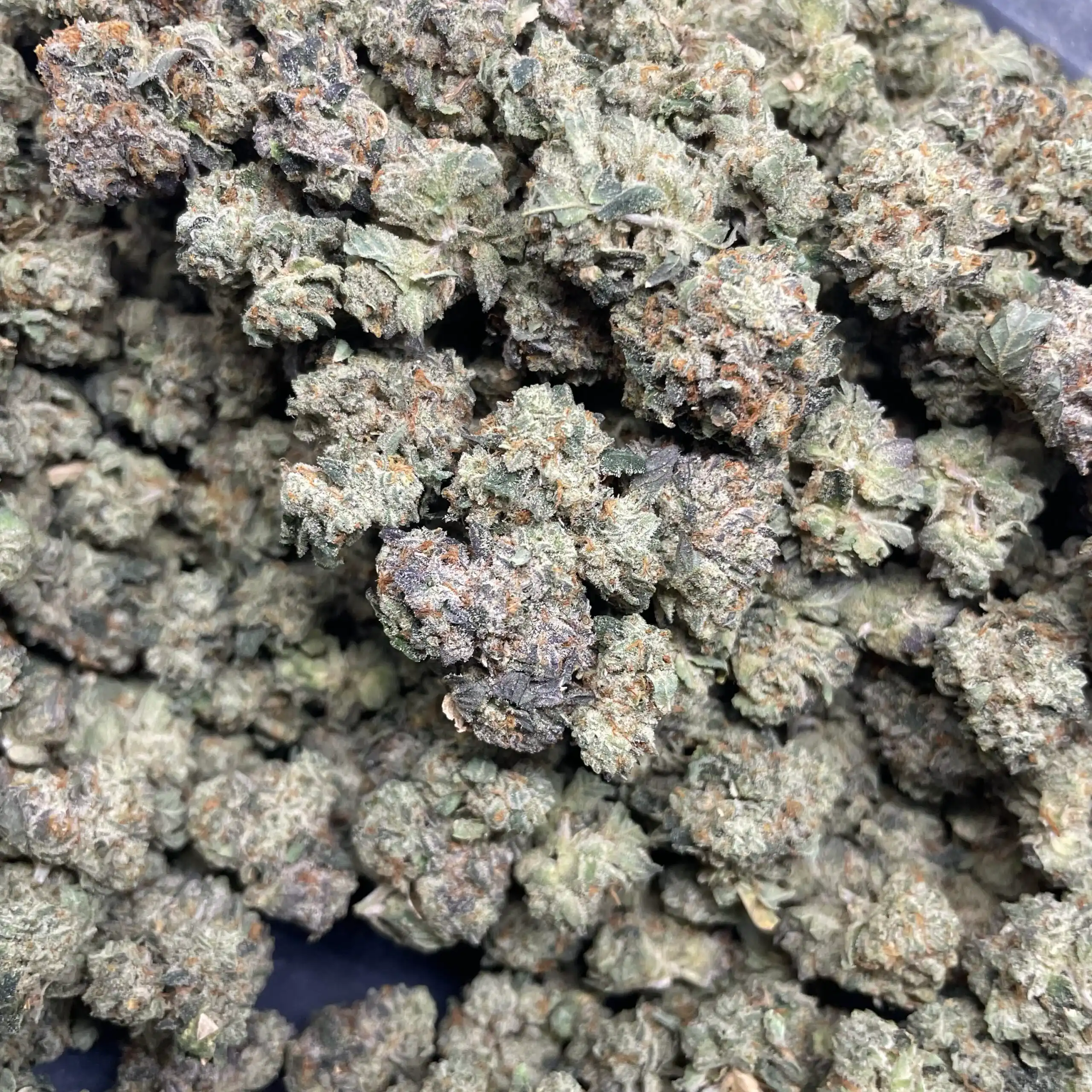 Animal Face (Face Off OG × Animal Mints) – Prohibition Farms