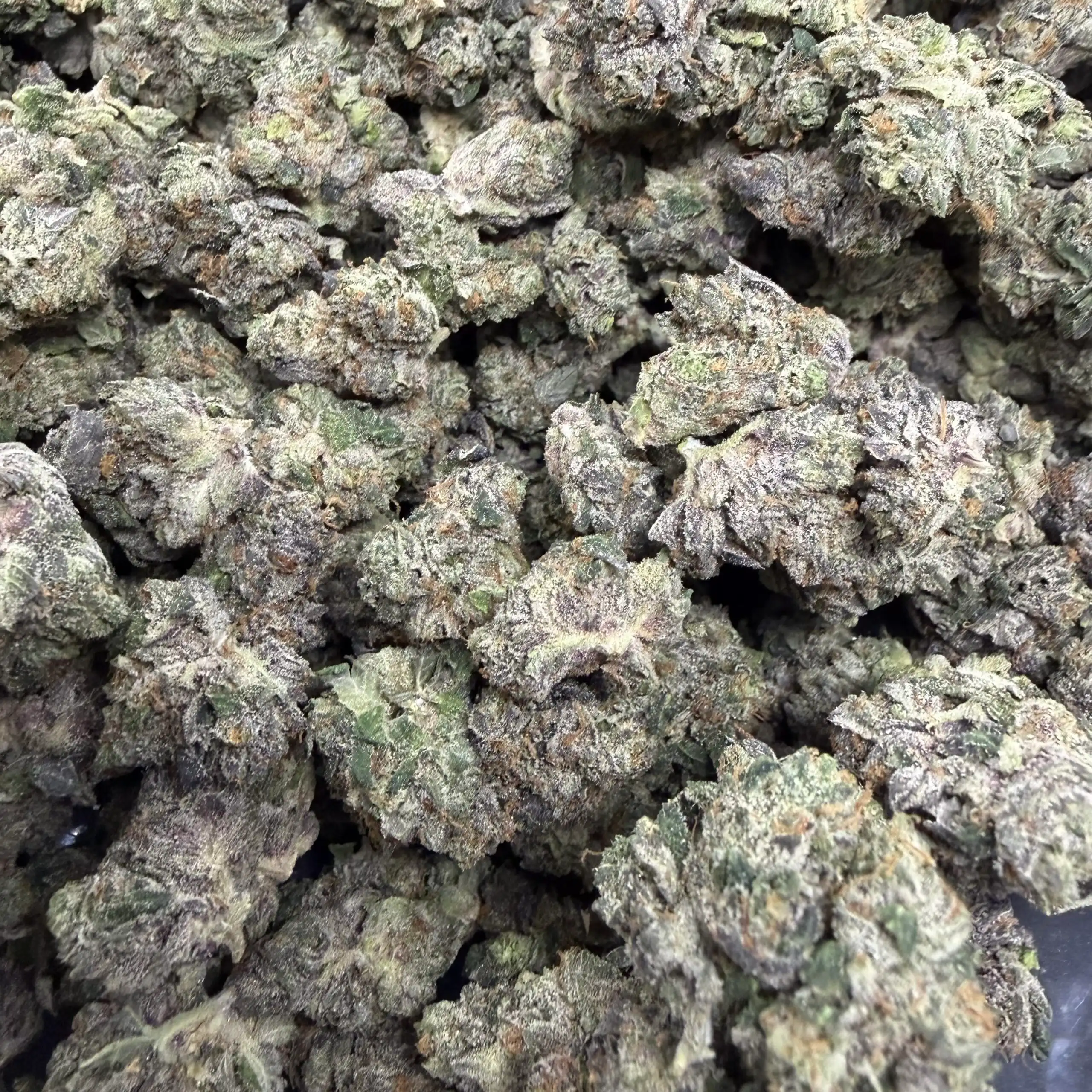 God Father OG Smalls – BBCF